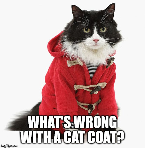 WHAT'S WRONG WITH A CAT COAT? | image tagged in cats | made w/ Imgflip meme maker