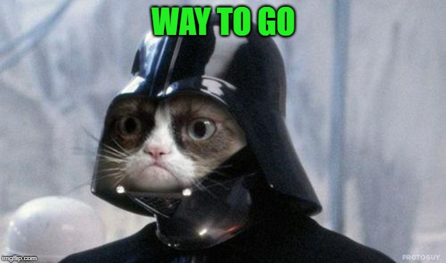 Grumpy Cat Star Wars Meme | WAY TO GO | image tagged in memes,grumpy cat star wars,grumpy cat | made w/ Imgflip meme maker