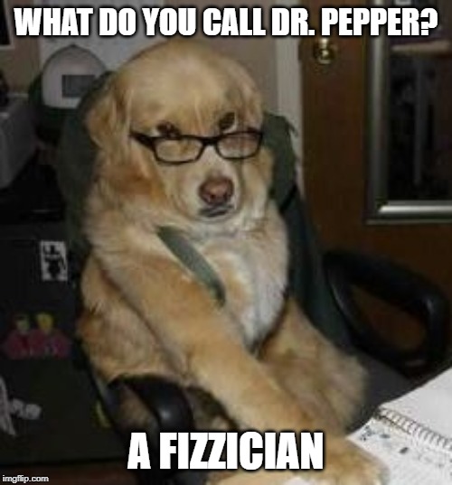 smart dog | WHAT DO YOU CALL DR. PEPPER? A FIZZICIAN | image tagged in smart dog | made w/ Imgflip meme maker