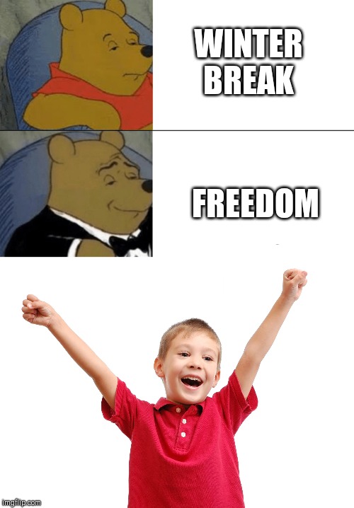 WINTER BREAK; FREEDOM | image tagged in happy kid,memes,tuxedo winnie the pooh | made w/ Imgflip meme maker
