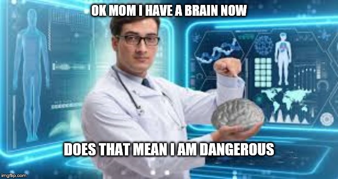 if you had a brain | OK MOM I HAVE A BRAIN NOW; DOES THAT MEAN I AM DANGEROUS | image tagged in memes | made w/ Imgflip meme maker