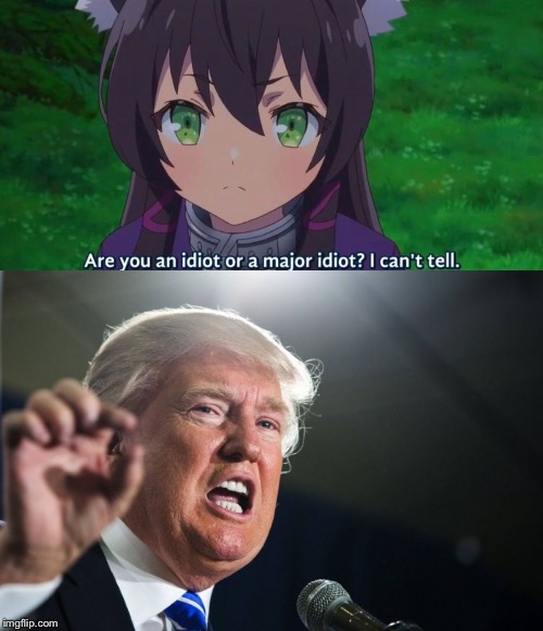 image tagged in donald trump,anime,how not to summon a demon lord | made w/ Imgflip meme maker