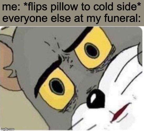 me: *flips pillow to cold side*
everyone else at my funeral: | image tagged in tom and jerry meme | made w/ Imgflip meme maker