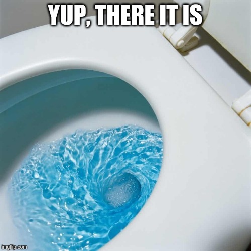 Blue Toilet Water | YUP, THERE IT IS | image tagged in blue toilet water | made w/ Imgflip meme maker