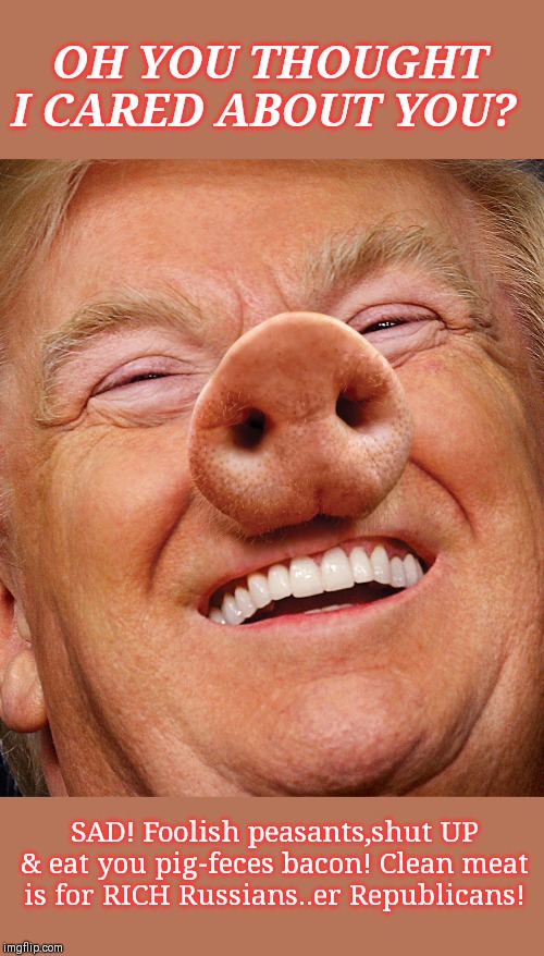 'Herr Trump "improves" the FDA' | OH YOU THOUGHT I CARED ABOUT YOU? SAD! Foolish peasants,shut UP & eat you pig-feces bacon! Clean meat is for RICH Russians..er Republicans! | image tagged in trump,fda,corruption,censorship | made w/ Imgflip meme maker