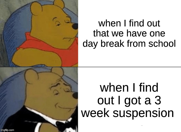 Tuxedo Winnie The Pooh Meme | when I find out that we have one day break from school; when I find out I got a 3 week suspension | image tagged in memes,tuxedo winnie the pooh | made w/ Imgflip meme maker