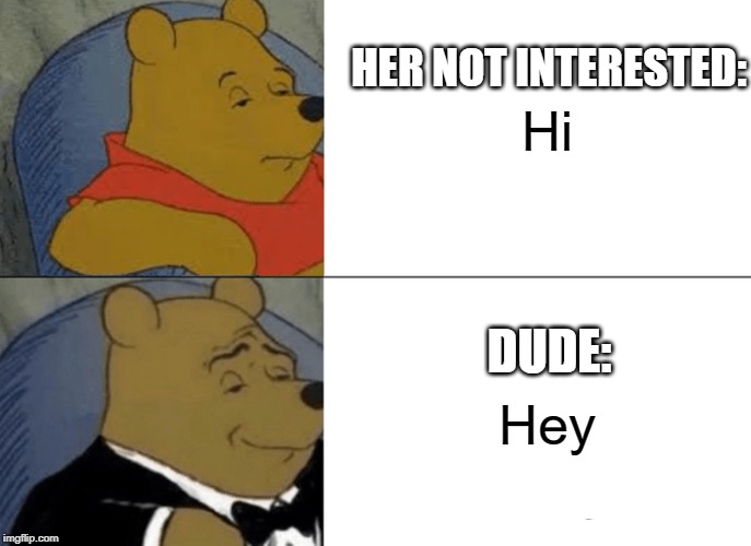 Tuxedo Winnie The Pooh | Hi; HER NOT INTERESTED:; DUDE:; Hey | image tagged in memes,tuxedo winnie the pooh | made w/ Imgflip meme maker