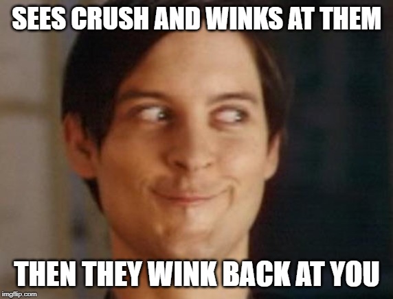 Spiderman Peter Parker | SEES CRUSH AND WINKS AT THEM; THEN THEY WINK BACK AT YOU | image tagged in memes,spiderman peter parker | made w/ Imgflip meme maker