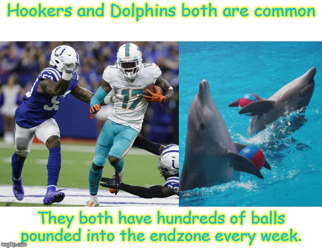 Hookers and Dolphins | Hookers and Dolphins both are common; They both have hundreds of balls pounded into the endzone every week. | image tagged in sports | made w/ Imgflip meme maker