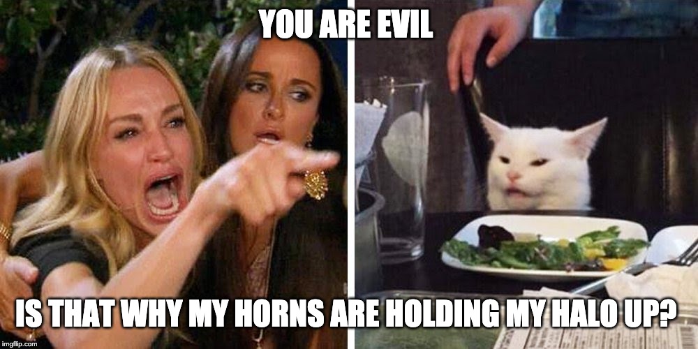 Smudge the cat | YOU ARE EVIL; IS THAT WHY MY HORNS ARE HOLDING MY HALO UP? | image tagged in smudge the cat | made w/ Imgflip meme maker