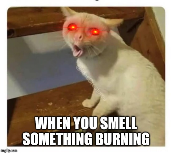 Coughing Cat | WHEN YOU SMELL SOMETHING BURNING | image tagged in coughing cat | made w/ Imgflip meme maker