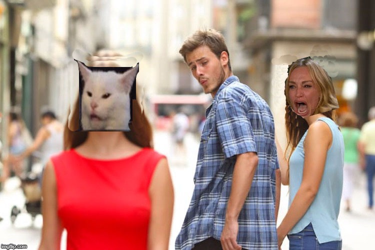 And you thought Smudge was a cat! | image tagged in memes,woman yelling at cat,distracted boyfriend | made w/ Imgflip meme maker
