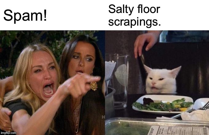 Woman Yelling At Cat | Spam! Salty floor 
scrapings. | image tagged in memes,woman yelling at cat | made w/ Imgflip meme maker