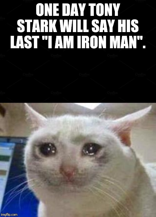 ONE DAY TONY STARK WILL SAY HIS LAST "I AM IRON MAN". | image tagged in sad cat | made w/ Imgflip meme maker