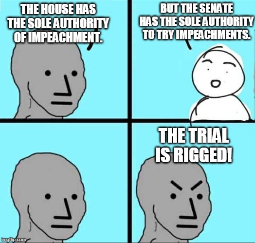 NPC Meme | BUT THE SENATE HAS THE SOLE AUTHORITY TO TRY IMPEACHMENTS. THE HOUSE HAS THE SOLE AUTHORITY OF IMPEACHMENT. THE TRIAL IS RIGGED! | image tagged in npc meme | made w/ Imgflip meme maker
