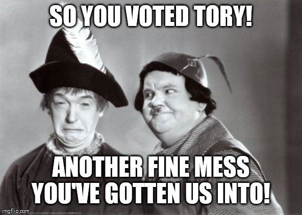 Laurel and Hardy Another Fine Mess | SO YOU VOTED TORY! ANOTHER FINE MESS YOU'VE GOTTEN US INTO! | image tagged in laurel and hardy another fine mess | made w/ Imgflip meme maker