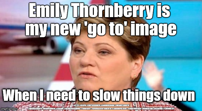 Emily Thornberry - Lady Nugee - E.T. | Emily Thornberry is 
my new 'go to' image; When I need to slow things down; #GTTO #JC4PM #CULTOFCORBYN #LABOURISDEAD #WEAINTCORBYN #WEARECORBYN #NEVERCORBYN #LABOUR #CHANGEISCOMING #TORIESOUT #GENERALELECTION2019 #LABOURPOLICIES #CORBYNRESIGN #MOMENTUM #EXLABOUR #LABOURLEFT | image tagged in brexit election 2019,cultofcorbyn,labourisdead,momentum students,lansman momentum,wearecorbyn weaintcorbyn | made w/ Imgflip meme maker