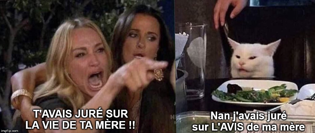 woman yelling at cat | Nan j'avais juré sur L'AVIS de ma mère; T'AVAIS JURÉ SUR LA VIE DE TA MÈRE !! | image tagged in woman yelling at cat | made w/ Imgflip meme maker