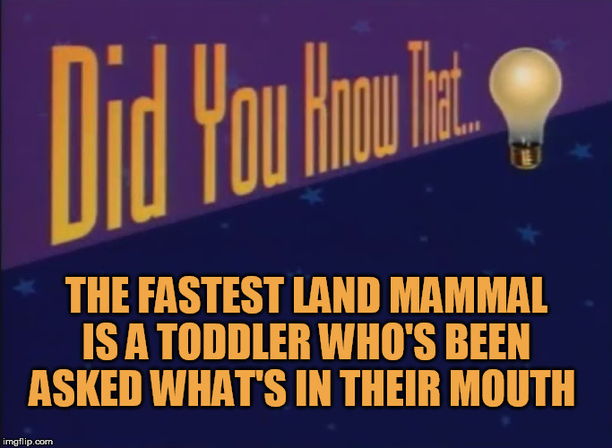 THE FASTEST LAND MAMMAL IS A TODDLER WHO'S BEEN ASKED WHAT'S IN THEIR MOUTH | image tagged in did you know,fast,toddler | made w/ Imgflip meme maker