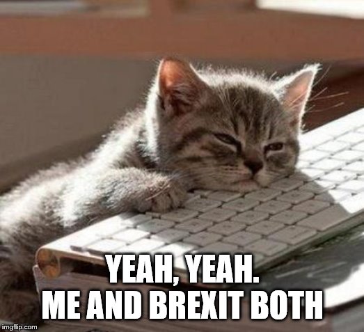 tired cat | YEAH, YEAH. ME AND BREXIT BOTH | image tagged in tired cat | made w/ Imgflip meme maker