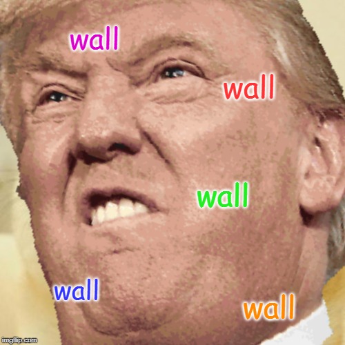 wall; wall; wall; wall; wall | image tagged in donald trump,trump | made w/ Imgflip meme maker