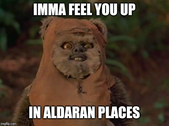 Mischievous Ewok | IMMA FEEL YOU UP; IN ALDARAN PLACES | image tagged in mischievous ewok | made w/ Imgflip meme maker