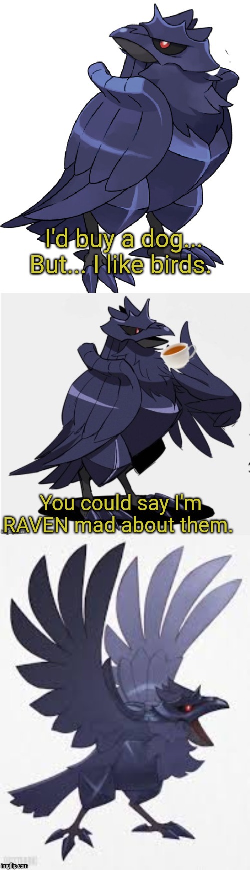 Bad Pun TTDC | I'd buy a dog... But... I like birds. You could say I'm RAVEN mad about them. | image tagged in bad pun ttdc | made w/ Imgflip meme maker