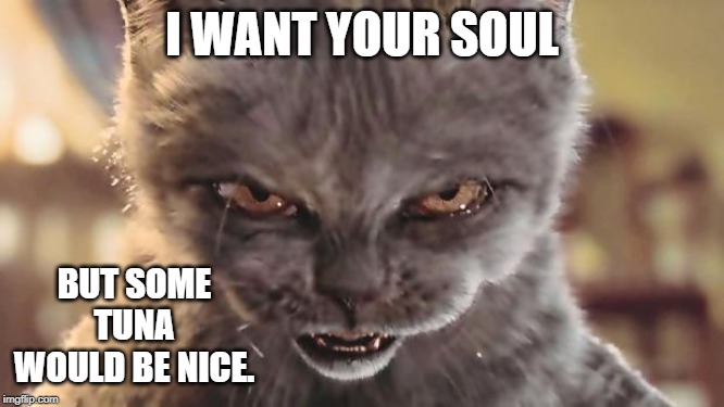 Evil Cat | I WANT YOUR SOUL BUT SOME TUNA WOULD BE NICE. | image tagged in evil cat | made w/ Imgflip meme maker