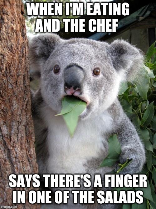 Surprised Koala | WHEN I'M EATING AND THE CHEF; SAYS THERE'S A FINGER IN ONE OF THE SALADS | image tagged in memes,surprised koala | made w/ Imgflip meme maker