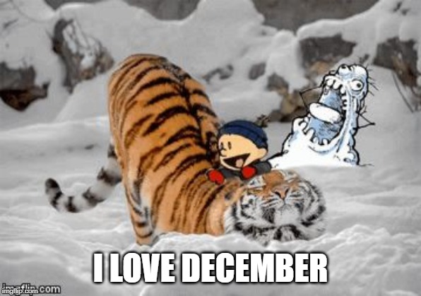 The Real Calvin and Hobbes | I LOVE DECEMBER | image tagged in the real calvin and hobbes | made w/ Imgflip meme maker