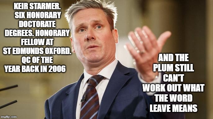 KEIR STARMER.  SIX HONORARY DOCTORATE DEGREES. HONORARY FELLOW AT ST EDMUNDS OXFORD. QC OF THE YEAR BACK IN 2006; AND THE PLUM STILL CAN'T WORK OUT WHAT THE WORD LEAVE MEANS | image tagged in labour party | made w/ Imgflip meme maker