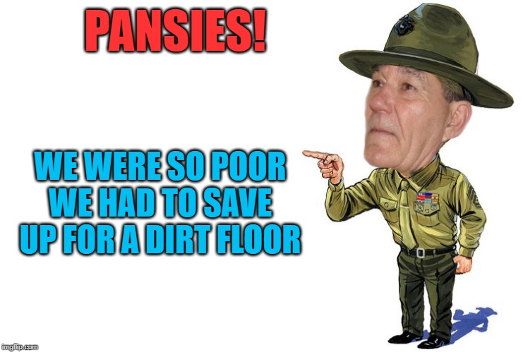 we were so poor | PANSIES! WE WERE SO POOR WE HAD TO SAVE UP FOR A DIRT FLOOR | image tagged in sargent kewlew,meme | made w/ Imgflip meme maker