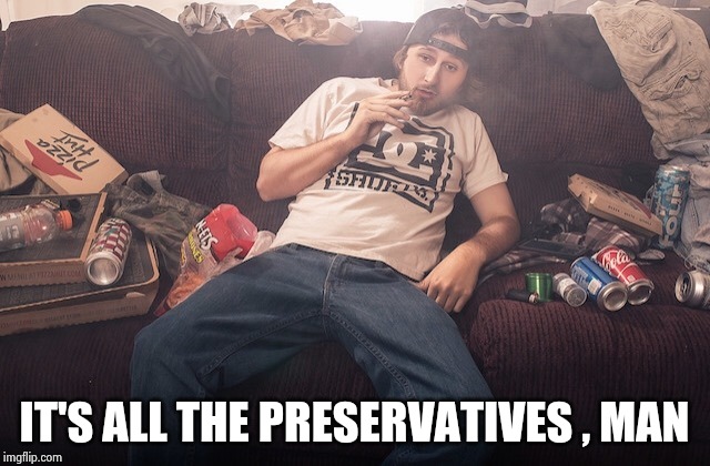 Stoner on couch | IT'S ALL THE PRESERVATIVES , MAN | image tagged in stoner on couch | made w/ Imgflip meme maker