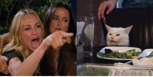 KAREN AND SMUDGE Blank Meme Template