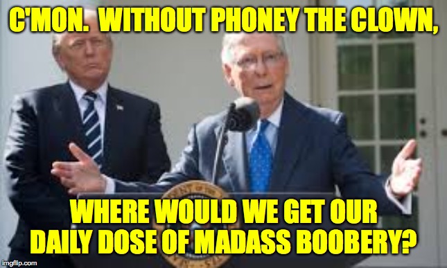 You've got it covered, Mitch. | C'MON.  WITHOUT PHONEY THE CLOWN, WHERE WOULD WE GET OUR DAILY DOSE OF MADASS BOOBERY? | image tagged in memes,trump impeachment,moscow mitch | made w/ Imgflip meme maker