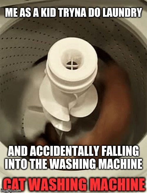 Cat Washing Machine | ME AS A KID TRYNA DO LAUNDRY; AND ACCIDENTALLY FALLING INTO THE WASHING MACHINE | image tagged in cat washing machine | made w/ Imgflip meme maker