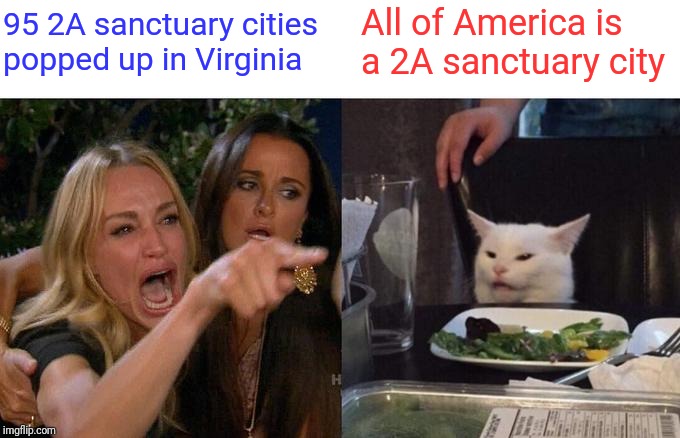 Woman Yelling At Cat | 95 2A sanctuary cities popped up in Virginia; All of America is a 2A sanctuary city | image tagged in memes,woman yelling at cat | made w/ Imgflip meme maker
