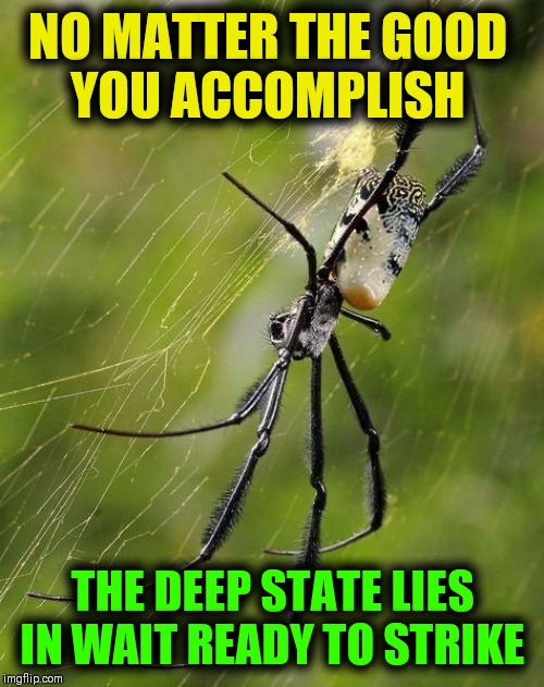 No Good Economic  News Nor Employment Numbers Go Unpunished | NO MATTER THE GOOD       YOU ACCOMPLISH; THE DEEP STATE LIES IN WAIT READY TO STRIKE | image tagged in vince vance,deep state,no good deed,goes unpunished,politicians,spider | made w/ Imgflip meme maker