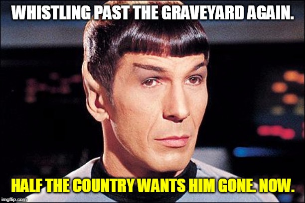Condescending Spock | WHISTLING PAST THE GRAVEYARD AGAIN. HALF THE COUNTRY WANTS HIM GONE. NOW. | image tagged in condescending spock | made w/ Imgflip meme maker