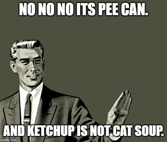 Nope | NO NO NO ITS PEE CAN. AND KETCHUP IS NOT CAT SOUP. | image tagged in nope | made w/ Imgflip meme maker