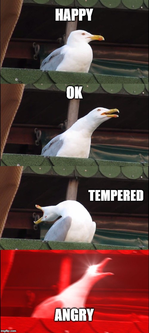 Inhaling Seagull Meme | HAPPY; OK; TEMPERED; ANGRY | image tagged in memes,inhaling seagull | made w/ Imgflip meme maker