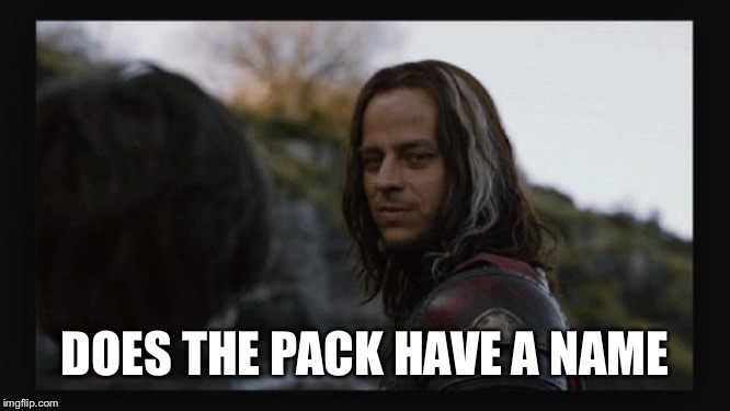 Jaqen H'ghar | DOES THE PACK HAVE A NAME | image tagged in jaqen h'ghar | made w/ Imgflip meme maker