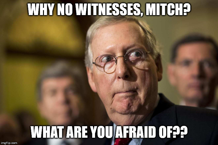 What are you afraid of, Mitch? | WHY NO WITNESSES, MITCH? WHAT ARE YOU AFRAID OF?? | image tagged in trump,mitch mcconnell,impeachment | made w/ Imgflip meme maker