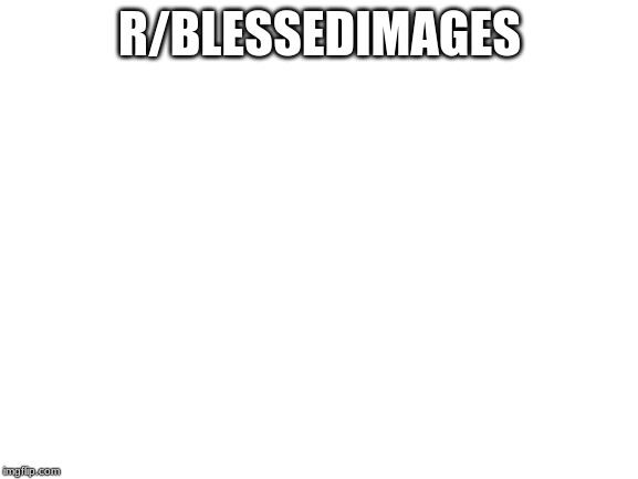 I had to | R/BLESSEDIMAGES | image tagged in blank white template | made w/ Imgflip meme maker