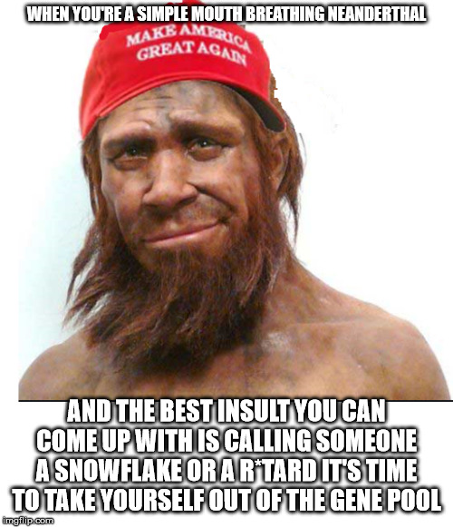 neanderthal Maga | WHEN YOU'RE A SIMPLE MOUTH BREATHING NEANDERTHAL; AND THE BEST INSULT YOU CAN COME UP WITH IS CALLING SOMEONE A SNOWFLAKE OR A R*TARD IT'S TIME TO TAKE YOURSELF OUT OF THE GENE POOL | image tagged in neanderthal maga | made w/ Imgflip meme maker