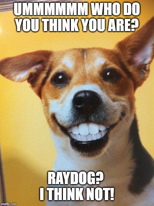 Raydog | UMMMMMM WHO DO YOU THINK YOU ARE? RAYDOG?  I THINK NOT! | image tagged in raydog | made w/ Imgflip meme maker