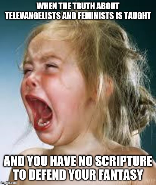 Crying Baby | WHEN THE TRUTH ABOUT TELEVANGELISTS AND FEMINISTS IS TAUGHT; AND YOU HAVE NO SCRIPTURE TO DEFEND YOUR FANTASY | image tagged in crying baby | made w/ Imgflip meme maker