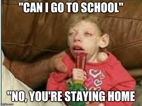 "CAN I GO TO SCHOOL"; "NO, YOU'RE STAYING HOME | image tagged in memes | made w/ Imgflip meme maker