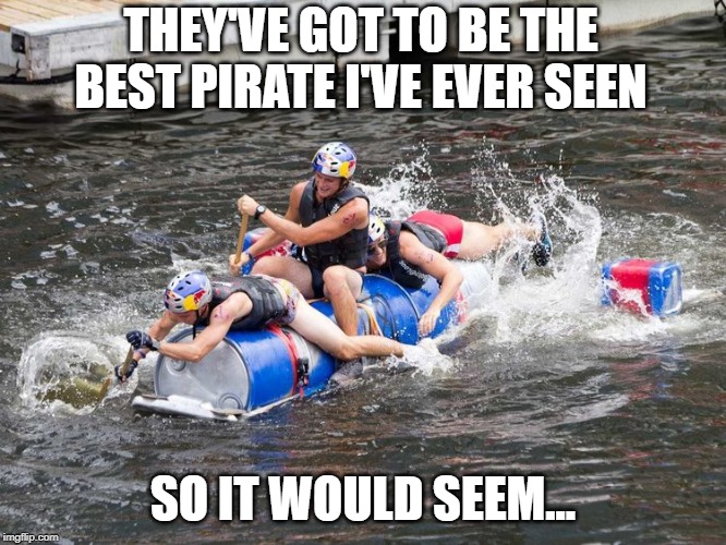 THEY'VE GOT TO BE THE BEST PIRATE I'VE EVER SEEN; SO IT WOULD SEEM... | image tagged in memes,stupid people | made w/ Imgflip meme maker