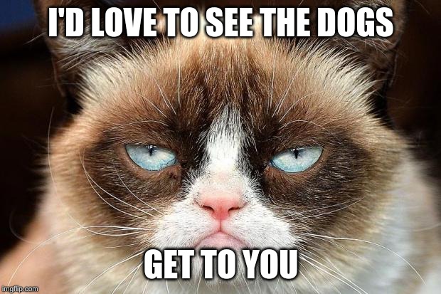 Grumpy Cat Not Amused Meme | I'D LOVE TO SEE THE DOGS GET TO YOU | image tagged in memes,grumpy cat not amused,grumpy cat | made w/ Imgflip meme maker